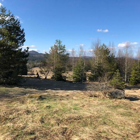 Apartman 7 Stozec Bagian luar foto