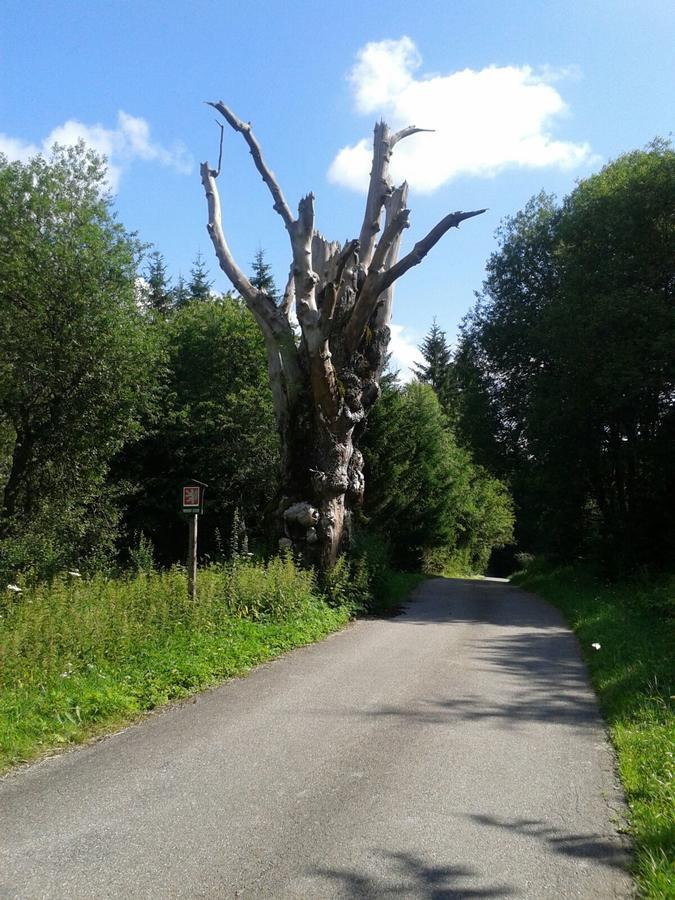 Apartman 7 Stozec Bagian luar foto