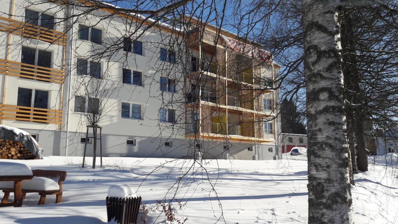 Apartman 7 Stozec Bagian luar foto